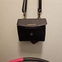 Small Michael Kors Clutch/purse
