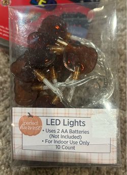 Pumpkin lights