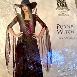 Purple WITCH Costume Size Juniors L