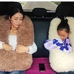 Travel Pillow