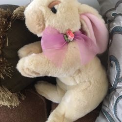 Bunny New 