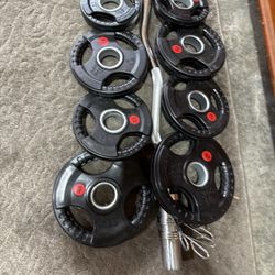 Weights Olympic Curl Bar