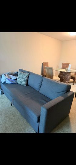 Sofa bed and dinning table