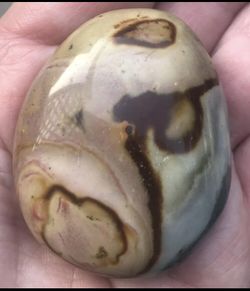 56 Grams Ocean Jasper Palm Stone Polished