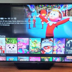 48" TCL-roku Smart Tv-ZERO dead pixels-model 48FS4610R