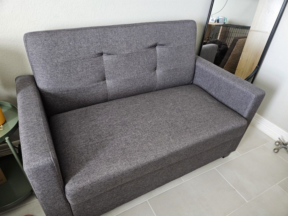 Small Couch With Pull Out Bed.