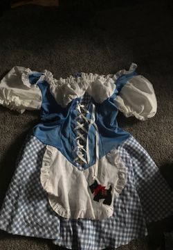 Dorothy costume (size L)