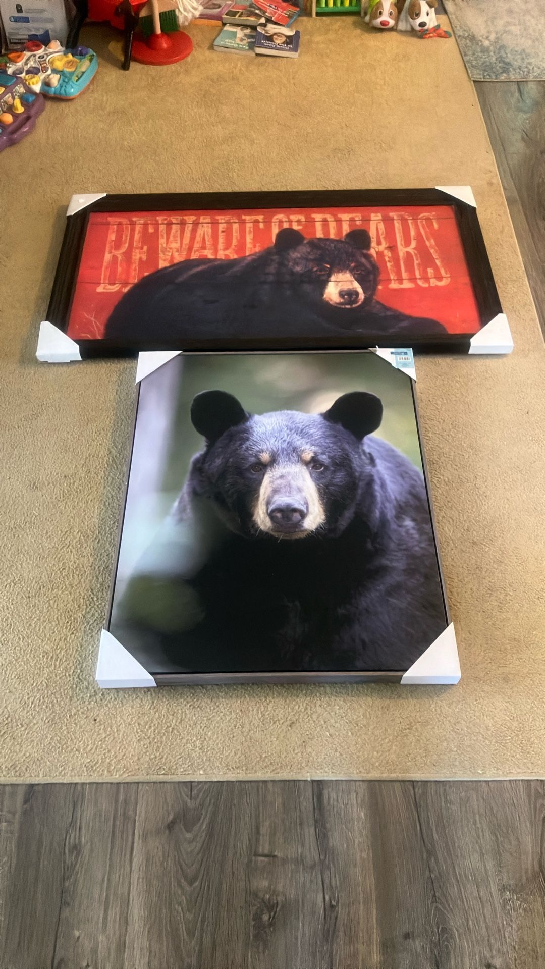 Bear Pictures