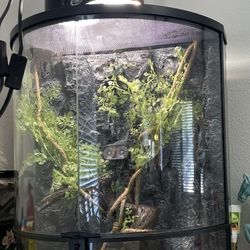 Reptile terrarium with all the accessories