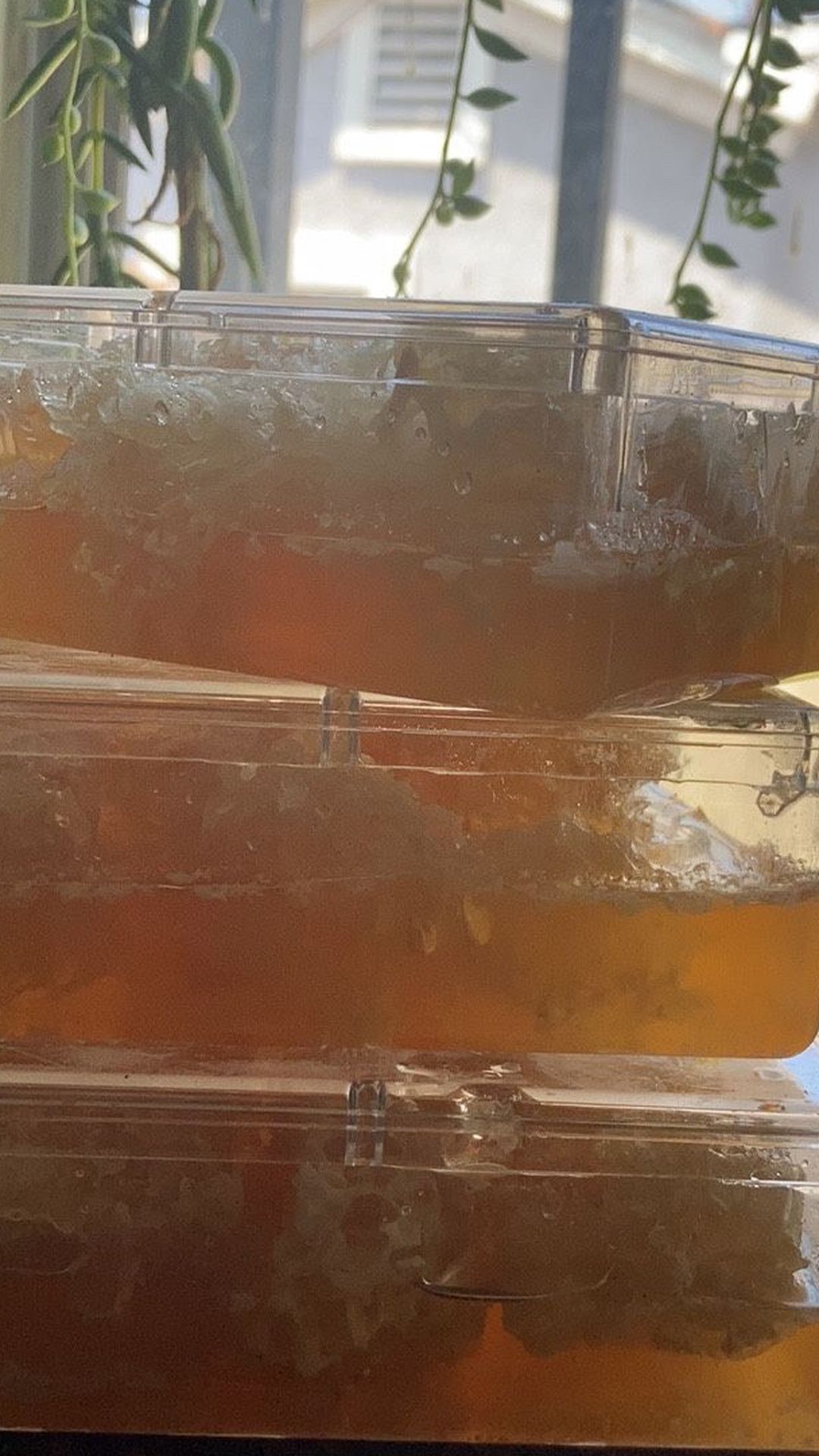 Honey Organic Raw and Unfiltered