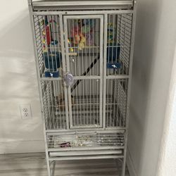 Bird Cage