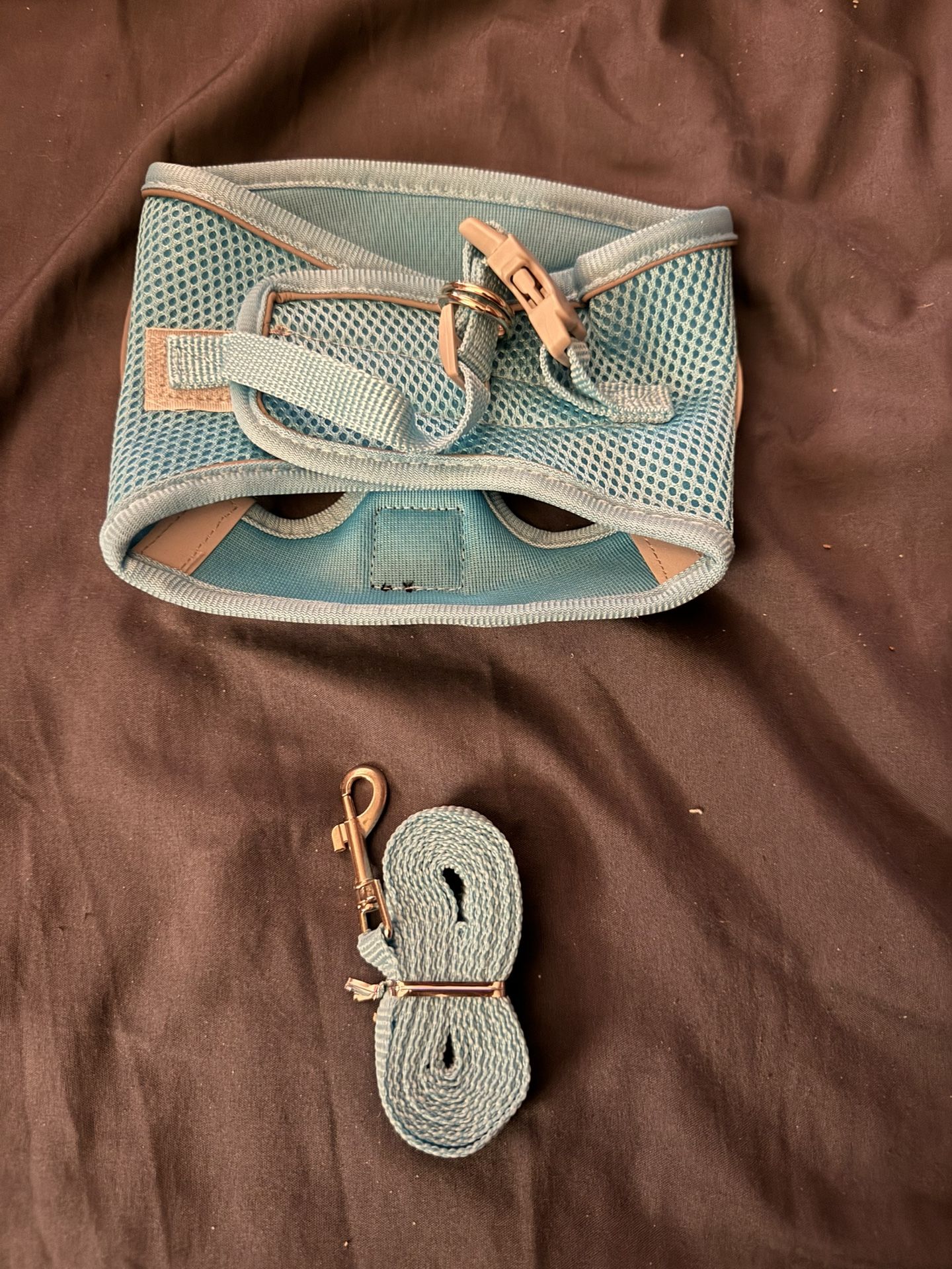 Brand New Harness And Leash Combo