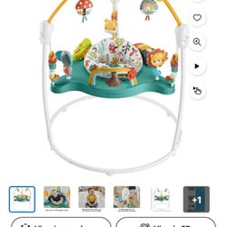 Fisher-Price Baby Bouncer