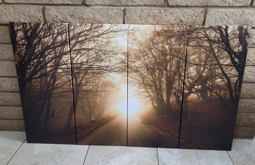 Canvas Wall Art - Sunlight in Autumn Forest