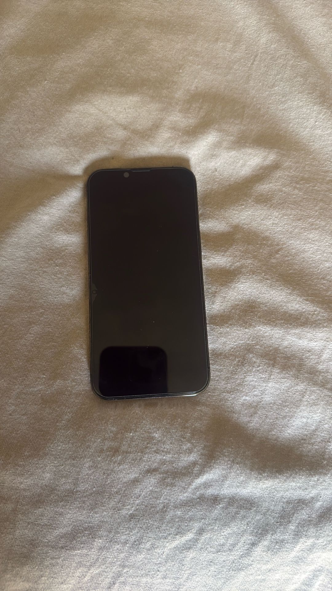 iPhone 13 Pro 256 GB