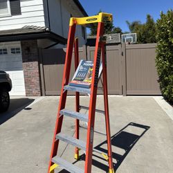 BRAND NEW Werner Ladder