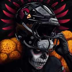 Jaguars Vs cardinals Lower Level Sec103 Row 11 6x Tix