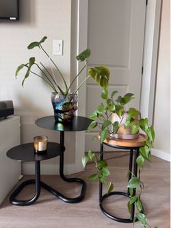 PLANT STANDS/ SIDE TABLES