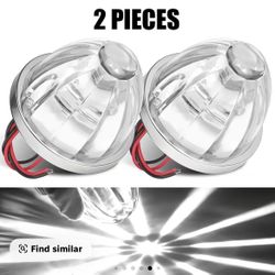 LED Watermelon Lights 