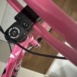 Pink Blocks Flyer Se Bike 