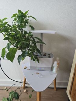 Aero garden hydroponic system