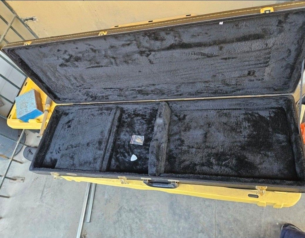 BASS or GUITAR CASE