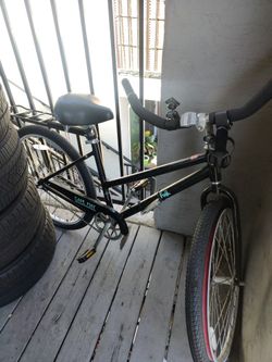 Fuji Bike