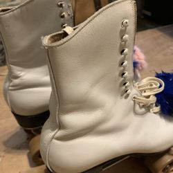 Skating Rink Skates