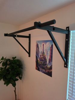 Titan Adjustable Depth Wall Mounted Pull Up Bar