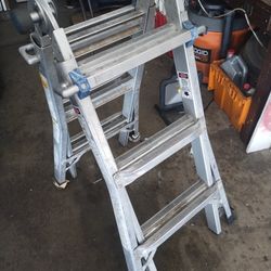 Collapsible Ladder 