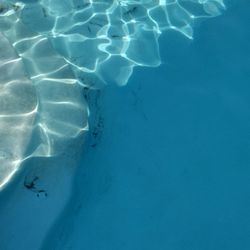 pool cleaner service