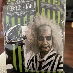 Beetlejuice Wig 