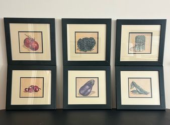 Framed Vegetable Prints (Set of 6)