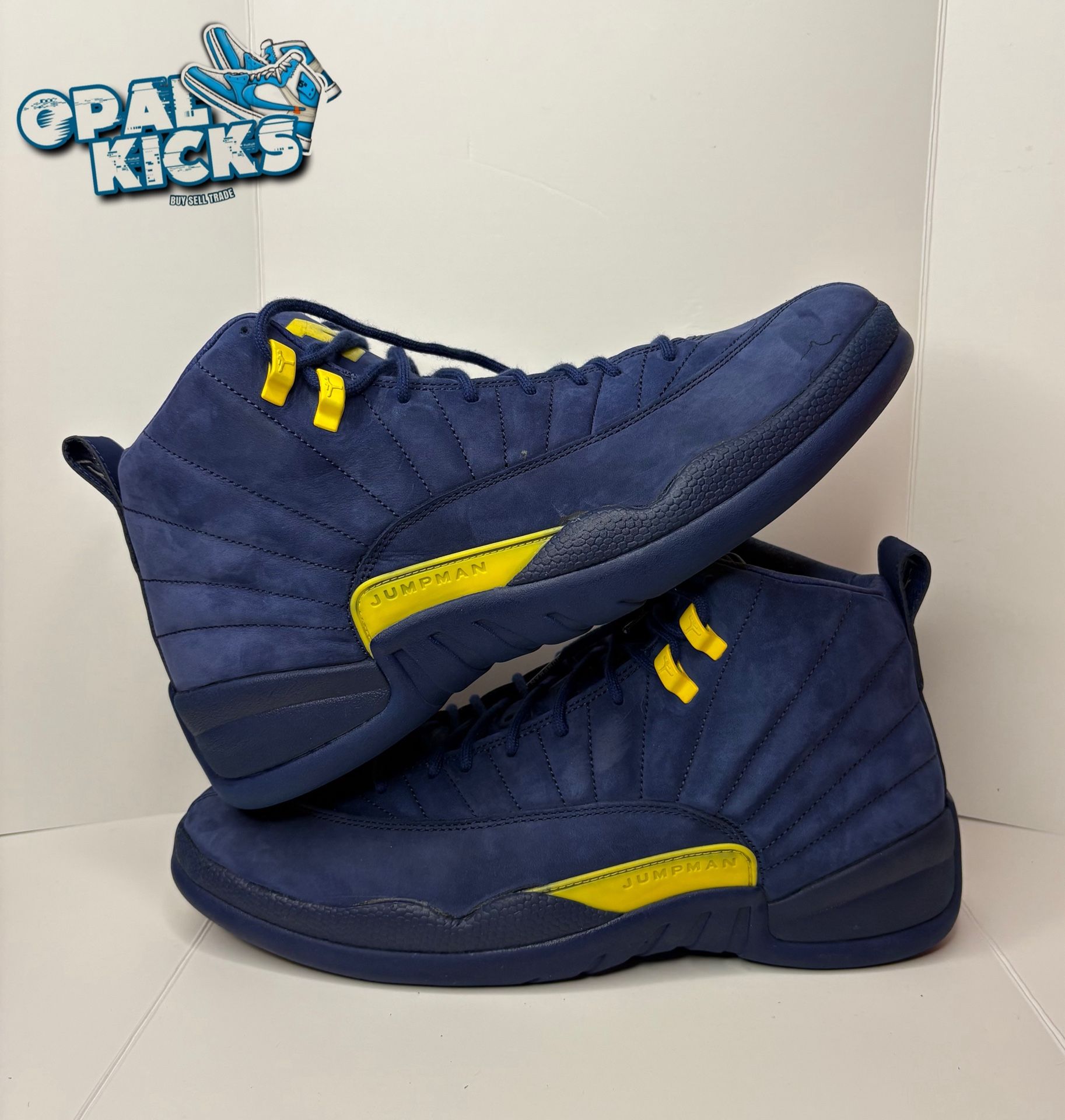Size 13M - Jordan 12