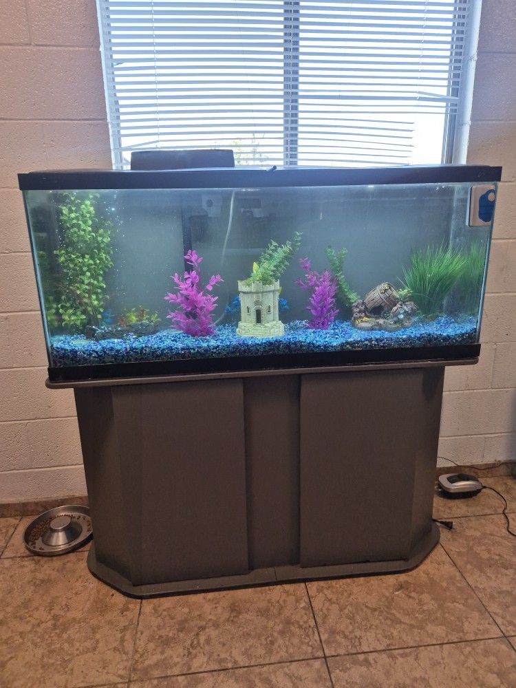 Fish Tank and Stand 55 Gallons 