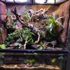 Nick’s Plants And Terrariums