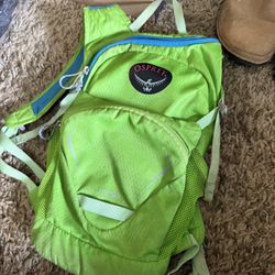 Osprey Hiking Bag