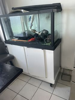 Everything Included Light Pump High Value New Clean Seall Professionally Done Everything Included
