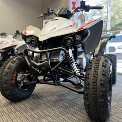 Kymco 270 Cc Automatic. Mongoose
