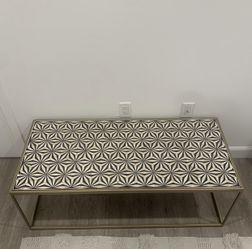 Modern Contemporary Bone-inlay Coffee Table