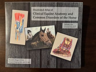 Illustrated Atlas Of Clinical Equine Anatomy And Common Disorders Of The HorseAnd 