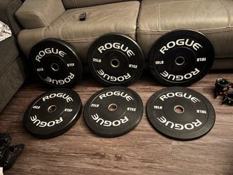 ROGUE ECHO V2 BUMPER WEIGHTS open box condition