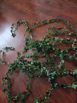 Guias de ojas verdes de plastico para decoracion o manualidades $10