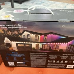 Govee Permanent Lights Elite Limited Edition