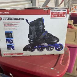 In Line Skates 