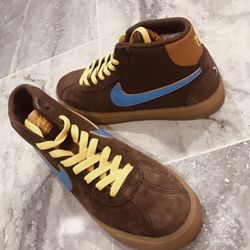 Nike Sb Bruin Shoes