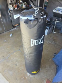 Everlast Heavy Punching Bag