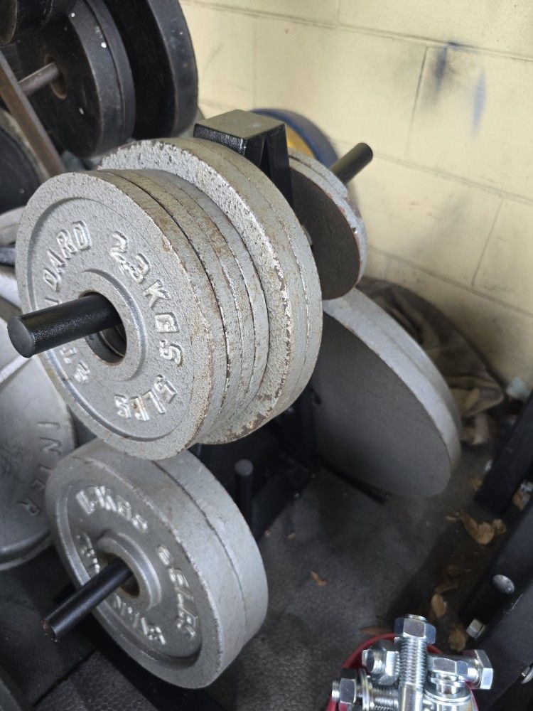 Weight Olympic Plates