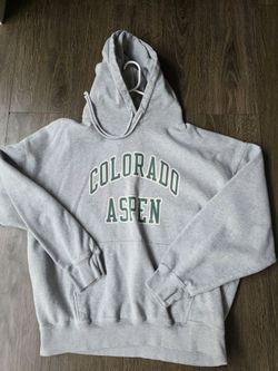 Brandy Melville Aspen Gray Pullover Hoodie