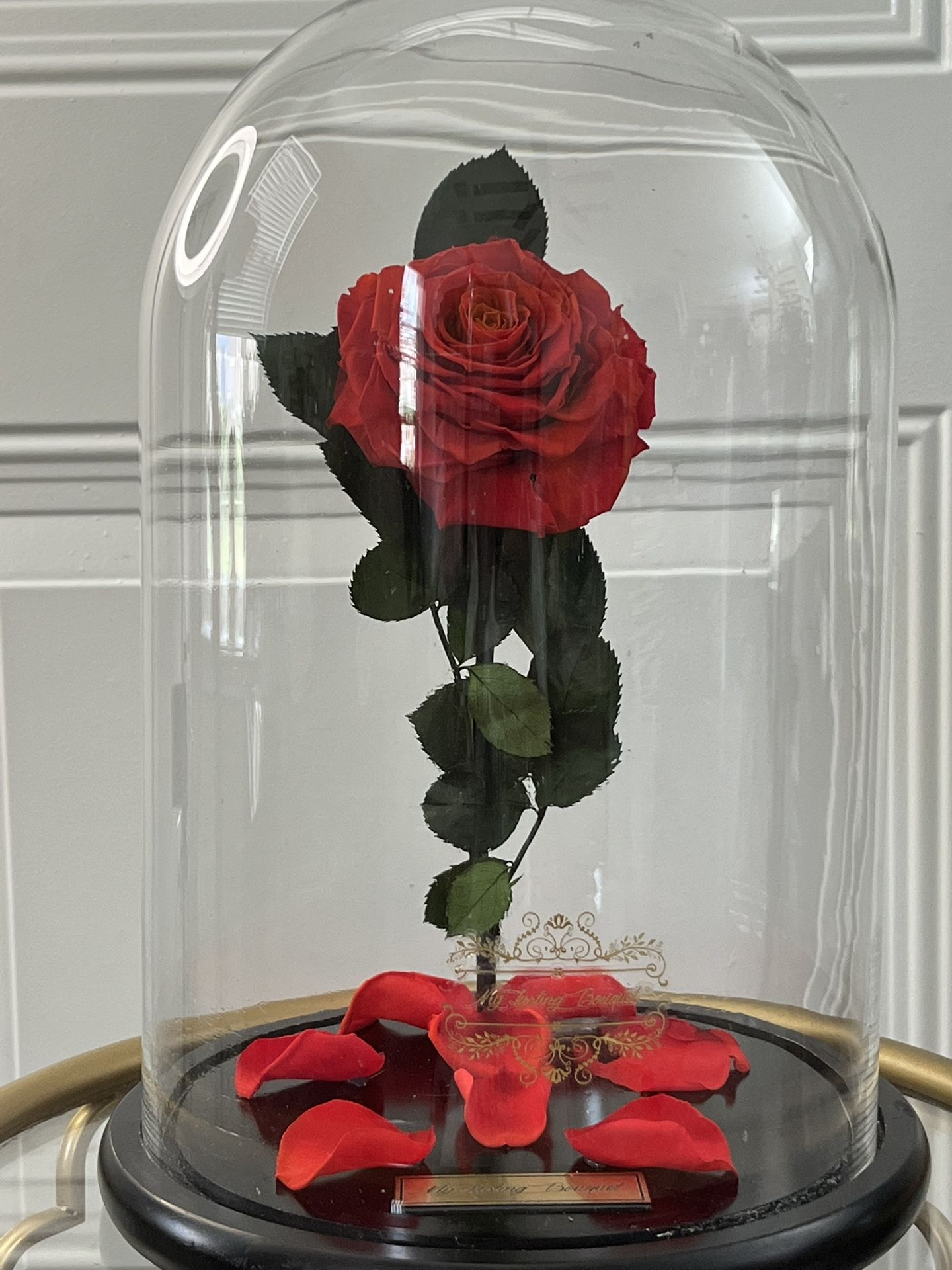 🌹✨ Enchanted Rose in Glass Dome ✨🌹